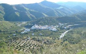 House Maruja Includes 2 Complet Apartments With Wifi & Jacuzzi